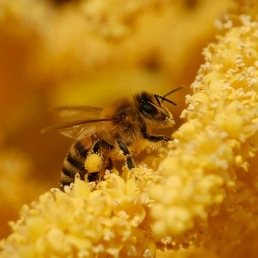 jozsef-szabo-9Et4S5q1otY-unsplash